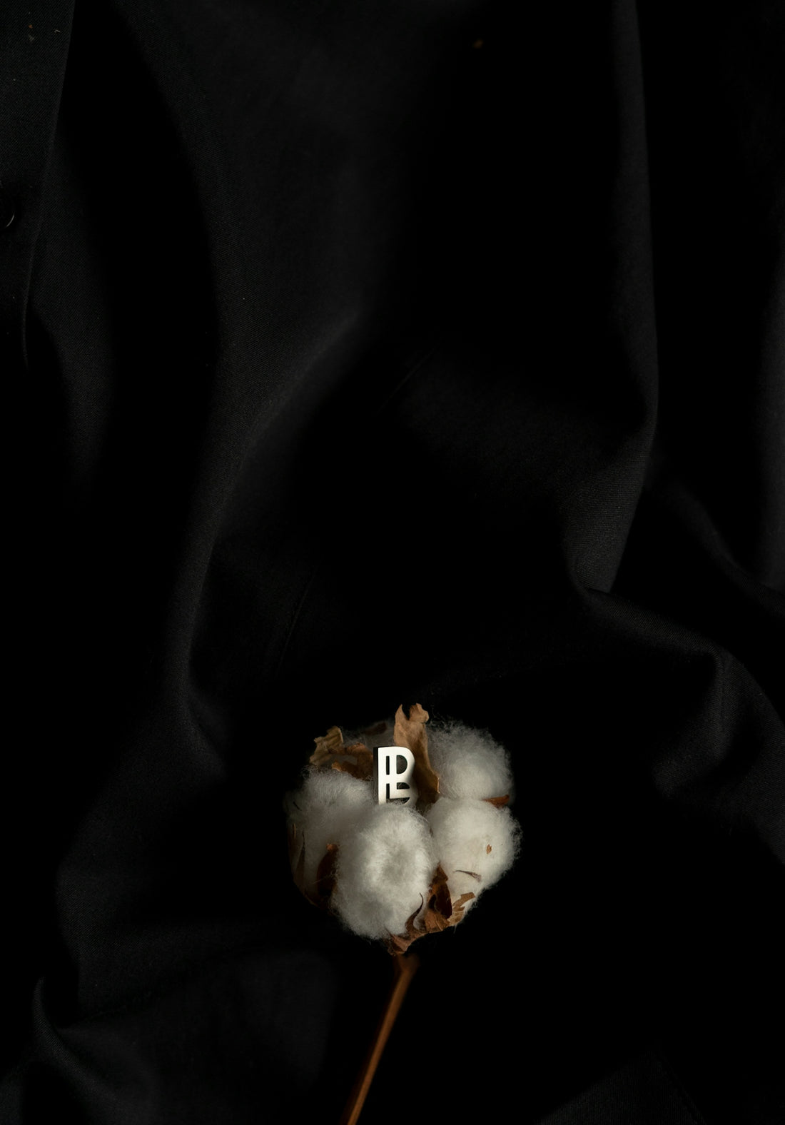 a cotton plant with the letter p on it